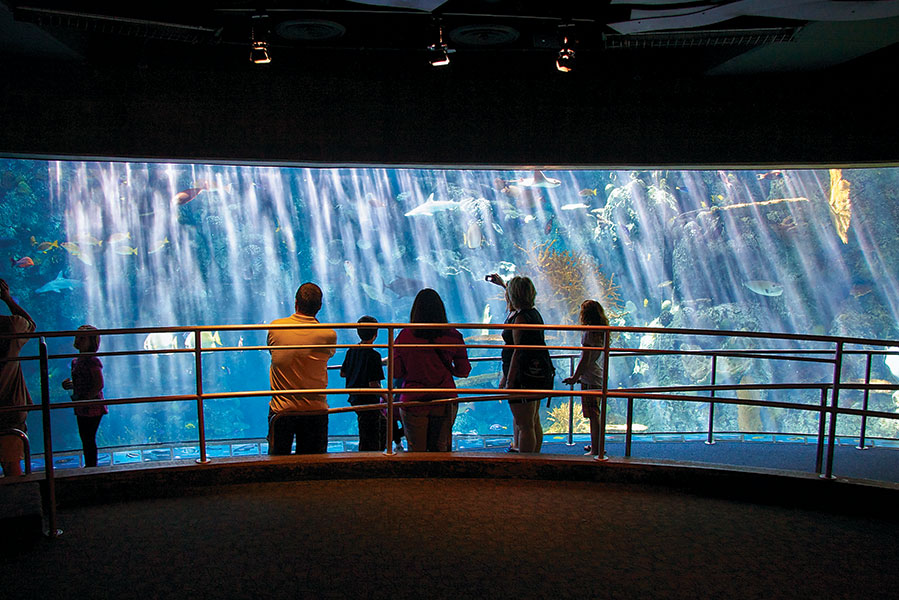 large exhibit window with people in front