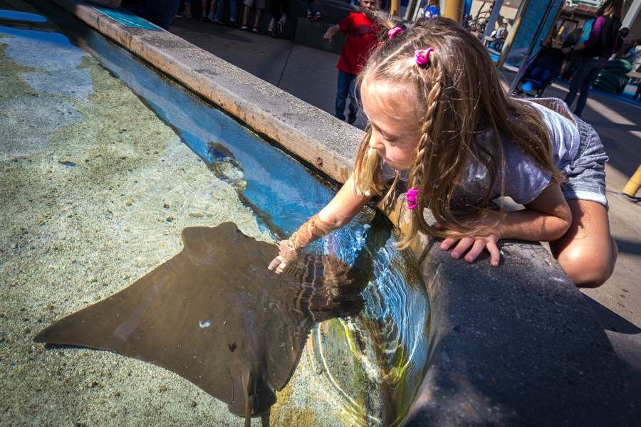 Child at touchpool showing two finger touch of ray