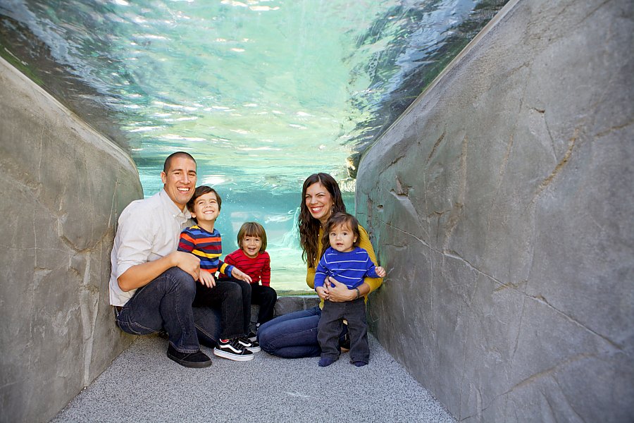 Family under the penguin exhibit alcove