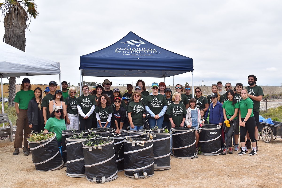 Group of volunteers in green "Party for the Planet" t-shirts stand behind over a dozen collapsable bins full of weeds and refuse in a dry section of the wetlands.